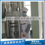 米糠油浸出设备，企鹅机械生产健康食用油